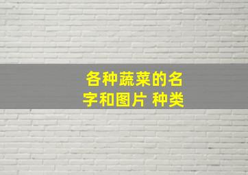 各种蔬菜的名字和图片 种类